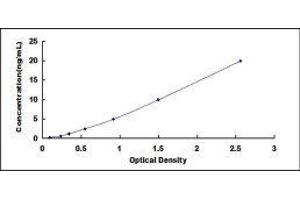 TEK Tyrosine Kinase, Endothelial (TEK) ELISA Kit
