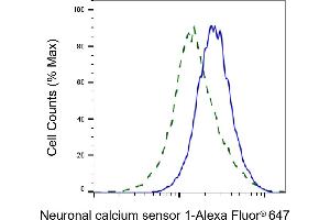 Validation of Neuronal calcium sensor 1 knockdown using flow cytometry. (Recombinant NCS1 anticorps)