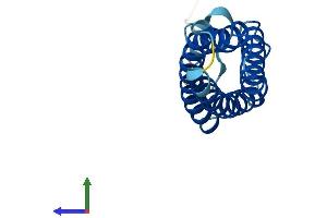 AlphaFold protein structure predicition of Human Recombinant MAL Protein, UniprotID P21145