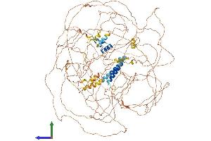 AlphaFold protein structure predicition of Human Recombinant BCL9 Protein, UniprotID O00512