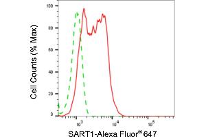 Flow cytometric analysis of SART1 expression in HepG2 cells using SART1 antibody (ABIN7800429), 1:2,000). (Recombinant SART1 anticorps)