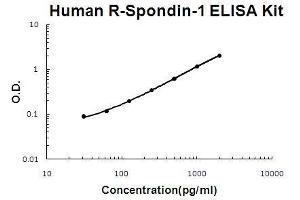 Human R-Spondin-1 PicoKine ELISA Kit standard curve (RSPO1 Kit ELISA)