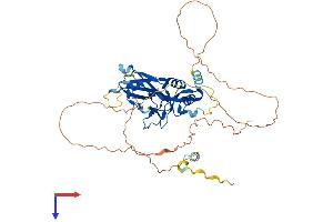 AlphaFold protein structure predicition of Human Recombinant TBX20 Protein, UniprotID Q9UMR3