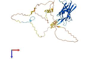 AlphaFold protein structure predicition of Mouse Recombinant Ppp1r3c Protein, UniprotID Q7TMB3