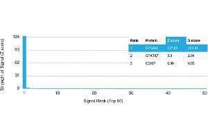 Analysis of Protein Array containing >19,000 full-length human proteins using EpCAM-Monospecific Mouse Monoclonal Antibody (EGP40/1372) Z- and S- Score: The Z-score represents the strength of a signal that a monoclonal antibody (MAb) (in combination with a fluorescently-tagged anti-IgG secondary antibody) produces when binding to a particular protein on the HuProtTM array. (EpCAM anticorps  (Extracellular Domain))