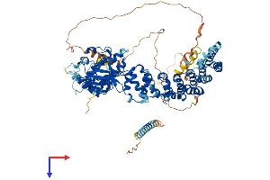 AlphaFold protein structure predicition of Human Recombinant SCYL1 Protein, UniprotID Q96KG9