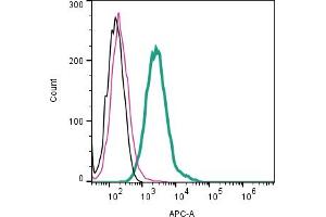 Cell surface detection of Piezo1 by direct flow cytometry in live intact mouse J774 macrophage cells: + Rabbit IgG Isotype Control-APC (ABIN7582043).