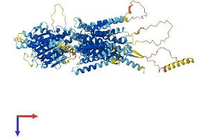 AlphaFold protein structure predicition of Mouse Recombinant Pigo Protein, UniprotID Q9JJI6