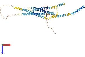 AlphaFold protein structure predicition of Human Recombinant STX5 Protein, UniprotID Q13190