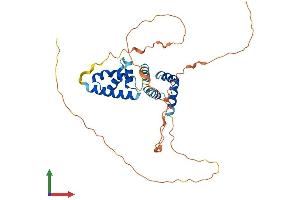 AlphaFold protein structure predicition of Human Recombinant POU5F2 Protein, UniprotID Q8N7G0