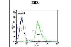 FGFBP3 Antibody (C-term) (ABIN651816 and ABIN2840409) flow cytometric analysis of 293 cells (right histogram) compared to a negative control cell (left histogram). (FGFBP3 anticorps  (C-Term))