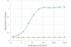 Binding curve of anti-ICOSL antibody HK5. (Recombinant ICOSLG anticorps)