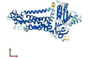 AlphaFold protein structure predicition of Human Recombinant NOX3 Protein, UniprotID Q9HBY0