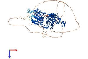 AlphaFold protein structure predicition of Human Recombinant PANK1 Protein, UniprotID Q8TE04