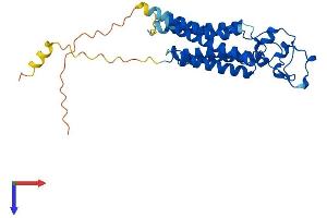 AlphaFold protein structure predicition of Mouse Recombinant Plpp3 Protein, UniprotID Q99JY8