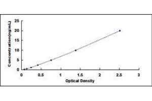 Typical standard curve (ENO1 Kit ELISA)