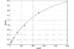 A typical standard curve