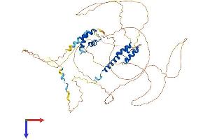 AlphaFold protein structure predicition of Mouse Recombinant Hirip3 Protein, UniprotID Q8BLH7
