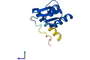AlphaFold protein structure predicition of Mouse Recombinant Rpl30 Protein, UniprotID P62889