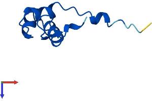 AlphaFold protein structure predicition of Human Recombinant POLR2L Protein, UniprotID P62875
