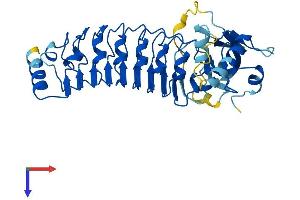 AlphaFold protein structure predicition of Human Recombinant LRRC28 Protein, UniprotID Q86X40