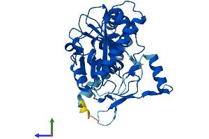 AlphaFold protein structure predicition of Human Recombinant AWAT1 Protein, UniprotID Q58HT5