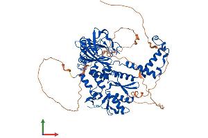 AlphaFold protein structure predicition of Human Recombinant RIOX1 Protein, UniprotID Q9H6W3