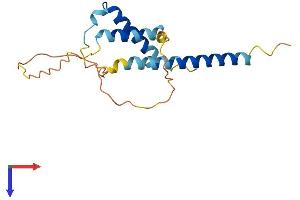 AlphaFold protein structure predicition of Human Recombinant MID1IP1 Protein, UniprotID Q9NPA3