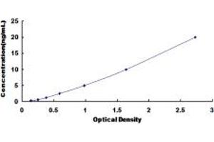 Typical standard curve (Myosin VIIB Kit ELISA)