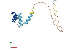 AlphaFold protein structure predicition of Mouse Recombinant Rplp2 Protein, UniprotID P99027