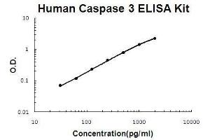Human Caspase 3 PicoKine ELISA Kit standard curve (Caspase 3 Kit ELISA)