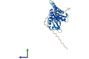 AlphaFold protein structure predicition of Mouse Recombinant Pno1 Protein, UniprotID Q9CPS7