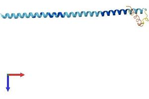 AlphaFold protein structure predicition of Human Recombinant SNCG Protein, UniprotID O76070