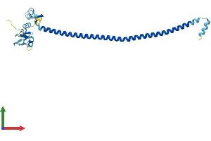 AlphaFold protein structure predicition of Human Recombinant TRIM73 Protein, UniprotID Q86UV7