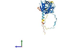 AlphaFold protein structure predicition of Human Recombinant DAPP1 Protein, UniprotID Q9UN19