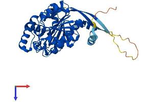 AlphaFold protein structure predicition of Human Recombinant SAE1 Protein, UniprotID Q9UBE0
