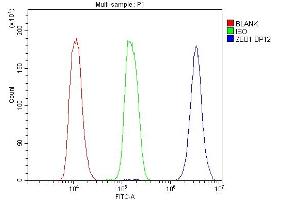 Flow Cytometry analysis of K562 cells using anti-ZEB1 antibody (ABIN7602984). (ZEB1 anticorps  (Middle Region))
