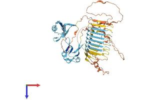 AlphaFold protein structure predicition of Human Recombinant DAZ4 Protein, UniprotID Q86SG3