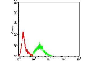 Flow cytometric analysis of SK-N-SH cells using RIPK4 mouse mAb (green) and negative control (red).