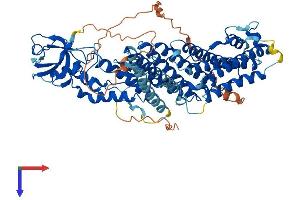 AlphaFold protein structure predicition of Human Recombinant RHPN2 Protein, UniprotID Q8IUC4