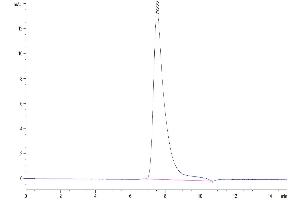 The purity of Human TRAIL Trimer is greater than 95 % as determined by SEC-HPLC. (TRAIL Protein (Trimer) (His-DYKDDDDK Tag))