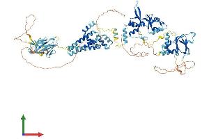 AlphaFold protein structure predicition of Mouse Recombinant Cnnm2 Protein, UniprotID Q3TWN3