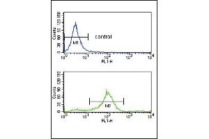 SFRP1 Antibody (N-term) (ABIN652980 and ABIN2842622) flow cytometry analysis of K562 cells (bottom histogram) compared to a negative control cell (top histogram). (SFRP1 anticorps  (N-Term))