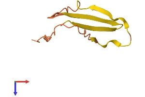 AlphaFold protein structure predicition of Human Recombinant OCR1 Protein, UniprotID Q9BZK8
