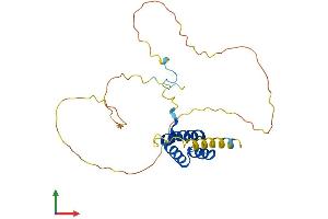 AlphaFold protein structure predicition of Human Recombinant HOXC8 Protein, UniprotID P31273
