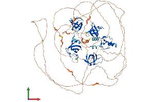 AlphaFold protein structure predicition of Human Recombinant SH3RF1 Protein, UniprotID Q7Z6J0