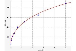 Typical standard curve