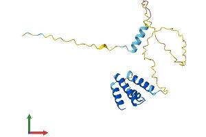 AlphaFold protein structure predicition of Human Recombinant CT45A10 Protein, UniprotID P0DMU9 (CT45A10 (AA 1-189) protein (His tag))