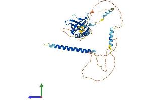 AlphaFold protein structure predicition of Mouse Recombinant Evl Protein, UniprotID P70429