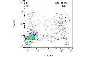 Surface staining of human peripheral blood with anti-human CD57 (TB01) PE.